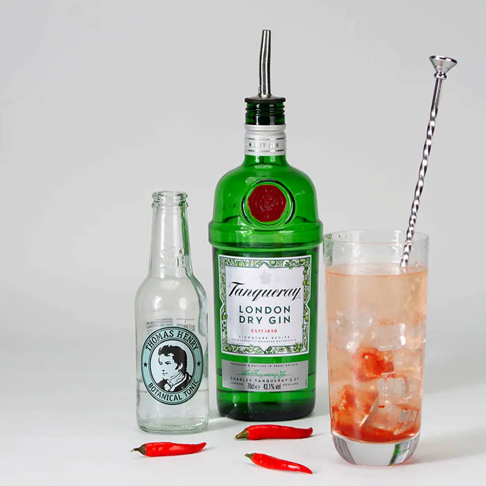 Cocktail mit Tanqueray Gin, Tonic und frischer Chili-Garnitur