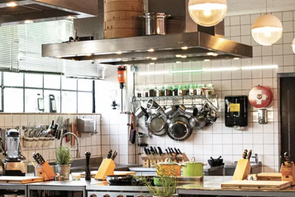 Moderne Profiküche mit Edelstahl-Arbeitsflächen und frischen Kräutern