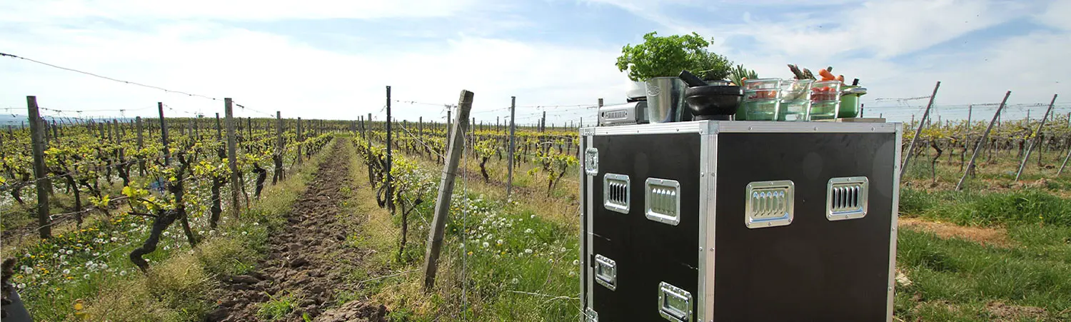 Mobile Küche im Weinberg mit frischen Kräutern und Zutaten